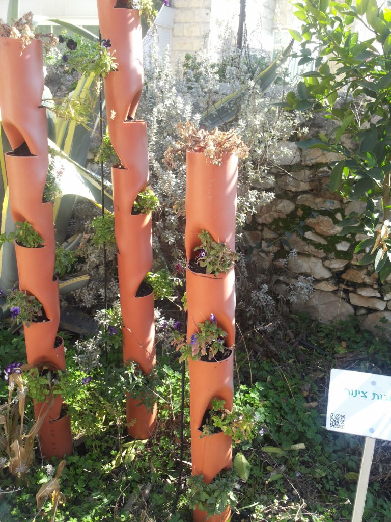 חקלאות-ביתית-גינת-מוזאון-הטבע-ירושלים